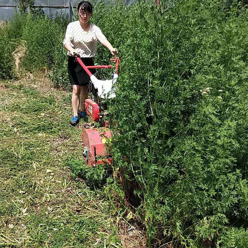 汽油自走式碎草还田机 开荒园林农用手推除草机 果园除草割草机