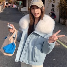 新款鹿皮绒大毛领棉外套女短款气质宽松小个子pu棉服冬季羽绒棉衣