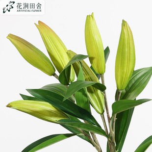 ������ˮ�ٺϻ��� ��c���滨�b��ðٺϻ��ٻ����Ҿӿ͏d�廨
