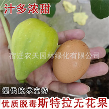 ��˹�x����ҟo�����������ϱ���ͥԺ���ԷNֲ�޽��҃��̨����