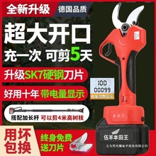 ���M��늄Ӽ������@��֦��늼�����֦�޼����_�ڹ�����늼���