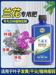 Lanling King Orchid Nutrient Solution Fertilizer Promotes Flowering Fertilizer Multi-Arrow Sterilization Medicine Orchid Orchid King Agent