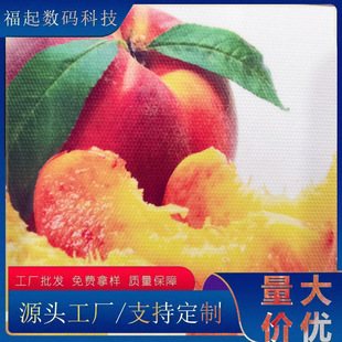 Eco-Solvent Matte Adhesive-Backed Canvas, Solvent Outdoor Chemical Fiber Canvas, Photo Cloth Inkjet Adhesive-Backed Canvas