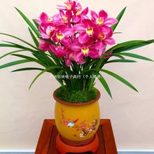�ļ��m���������_���������҃����ͺ����B�����m�����m���ܾGֲ��
