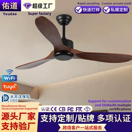 风扇灯;吸顶灯