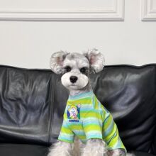 С���·��ļ������·�����ë�·�̩��ѩ�{��l�yС���·�
