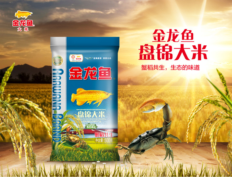 20201013金龙鱼盘锦大米500G电商文描(插画版)翼虎