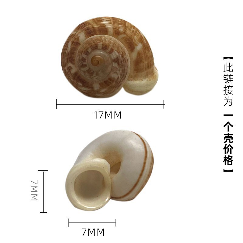 ヤドカリ交換用ペットシェル大口径海辺シェル装飾シェルスネイルミニ小大ピンク口 HCDS|undefined