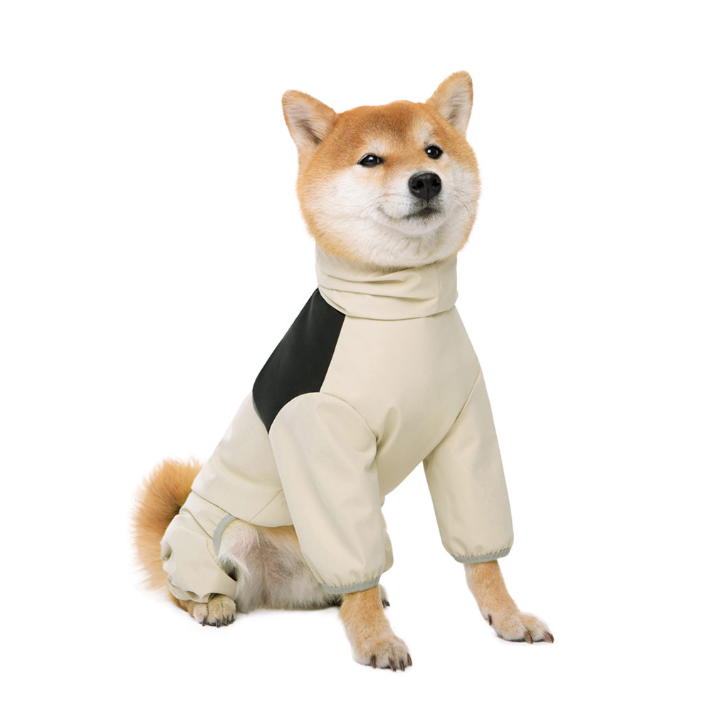 베이지