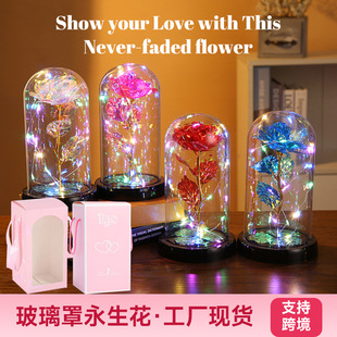 �羳�������˹��YƷõ�廨������Сҹ���[���������ß�����l�Ʒ