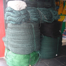 孔雀养殖网 山鸡海海鸭围网 深圳广州东莞抗老化塑料拦网批发价格