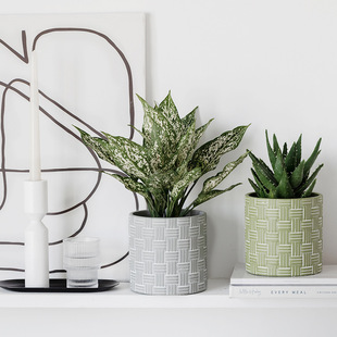 ˮ�໨�豱�W�L�񺆼s���₀�Դ�ڏ��Gֲ���ԾG�}������p����