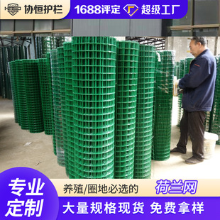 Agricultural breeding enclosure isolation steel wire dip plastic chicken wire public site fence Dutch net