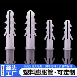 带刺塑料膨胀管6*30 8*40 白色圆头胶塞膨胀壁虎 账塞胶粒胶塞