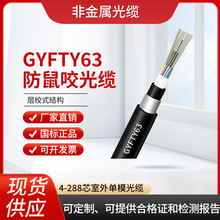 ҧ|gyfty63-12b1ǽ|ģw