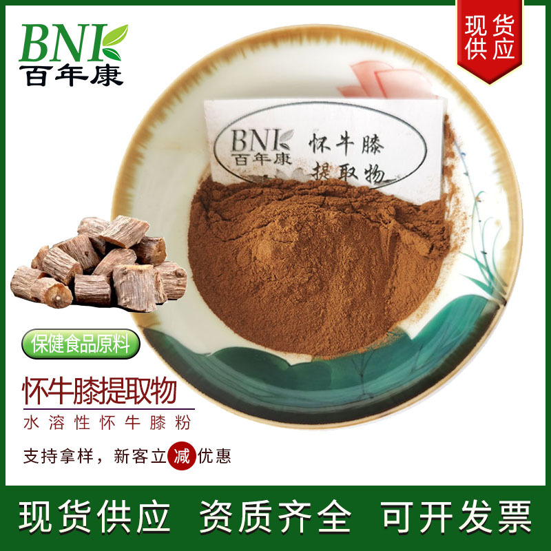 保健食品化妆品原料怀牛膝粉 水溶怀牛膝浸膏粉 10:1怀牛膝提取物