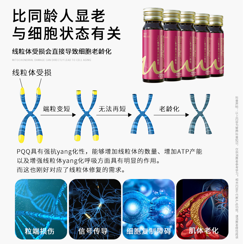 PQQ Collagen Oral Liquid Wholesale Hyaluronic Acid Small Molecule Collagen Peptide Active Peptide Beverage