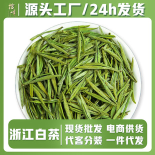 ʰ��2026������ˇ�㽭�P�Ͱײ�ë��G����~���l�Ј�ɢ�b�S��ֱ�N