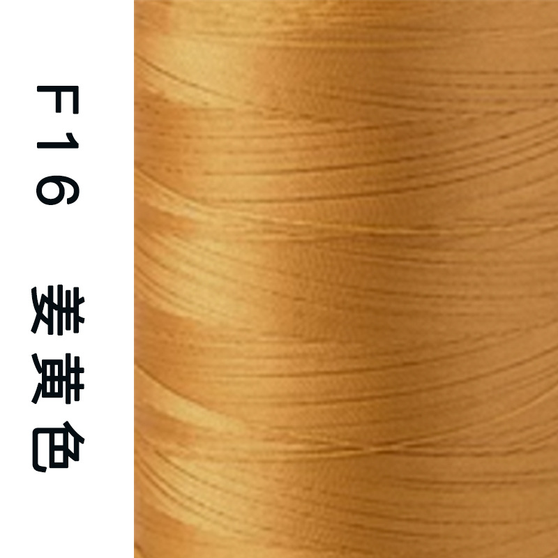 F016 진저 옐로우