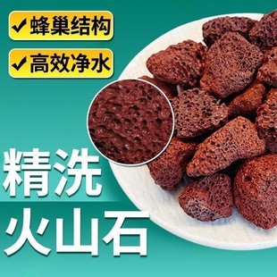 [Until the end of the grab] Volcanic Stone Small Particle Potted Aquarium Basalt Nutrient Soil Paving Natural Filter Material
