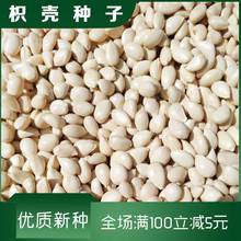 ٷNFhկ׌ټtۼӳ̷eN