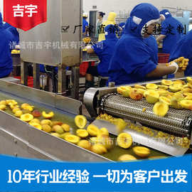 黄桃加工设备 黄桃罐头加工机械 黄桃丁罐头加工生产线