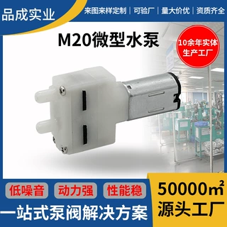 厂家批发低噪音食品级水泵 茶吧机饮水机M20电动隔膜水泵 自吸泵