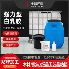木材专用木工胶家居装饰涂浆胶 木家具粘合 木制品工艺品粘接白胶