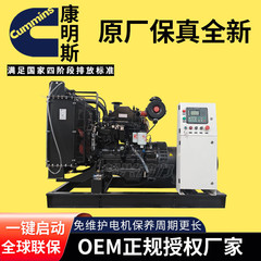 30kwカミンズディーゼル発電機セット30キロワット電気調整4気筒永久磁石ディーゼル発電機セット380v