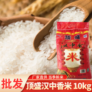 ���l���ۏS��ֱ������h��2025�������״������״����L������10kg