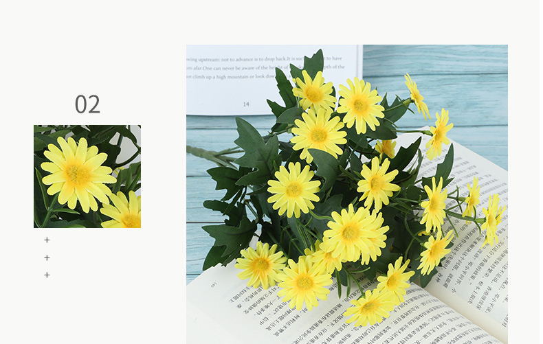 9头韩式菊 详情7