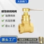 磁性加密锁闭玉环闸阀