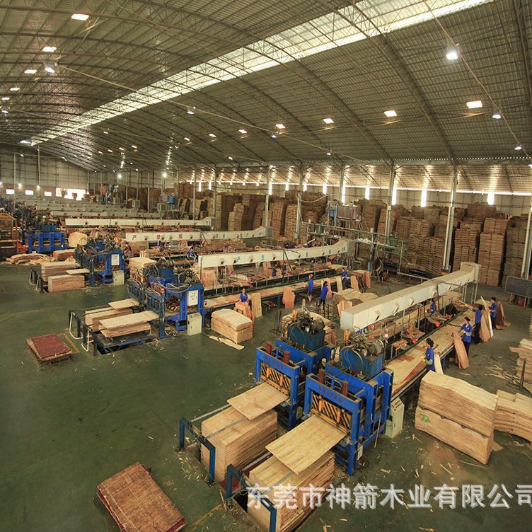 ����ģ��ľ��� ������������ ��������� ������