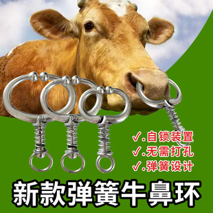 ���P�ţ���Q���ɊA�¿�ţ���Q������ţ��˨�¿�A��ţ�ǭh