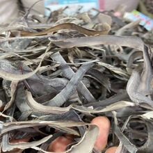 牛角丝  水牛角丝新角切丝干品新货 中药材 水牛角丝 水牛角尖丝
