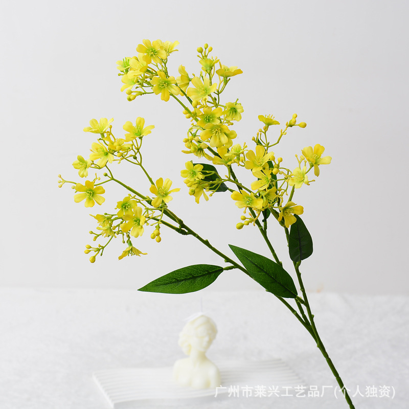 Chisanghua-노란색