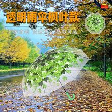 创意枫叶透明雨伞女阿波罗拱形长柄伞男防风柔韧8骨高级雨伞批发