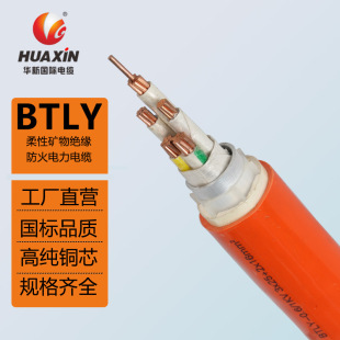 �A����|BTLY���ԵV��^�����������|�X�o����|������|�^��