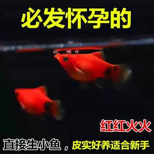 ���� ̥���~ ֱ����С�~ �����~ �tɫС�~ Ƥ���~�������ȸ���B