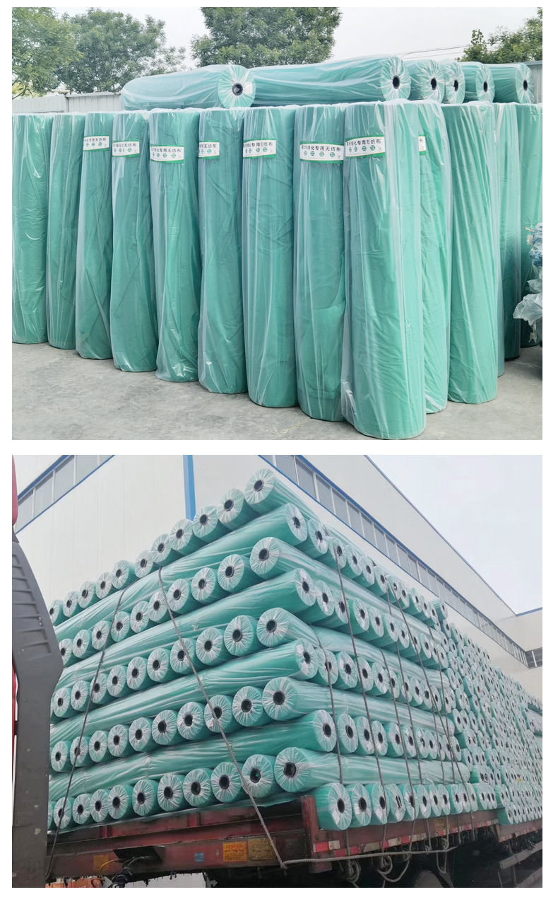 O1CN01vJuggn24SDTwaTm04_!!2217