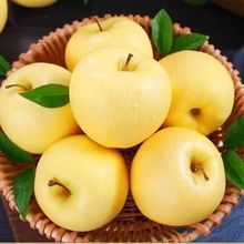 �S�����͸�ʿ�O��9�����rˮ��ɽ�|��̨��ɫţ�̴���ƽ��������]