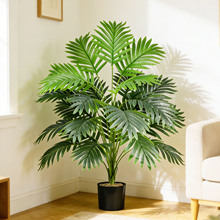 ����Gֲɢβ���ؙ��~�Ҿ��b����Կ͏d�[���پGֲ�羳���Q���l��