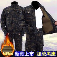 �ﶬ���ӽq�Բʷ���ĥ��ů늺����޹��������b�мӺ���C�ڱ���