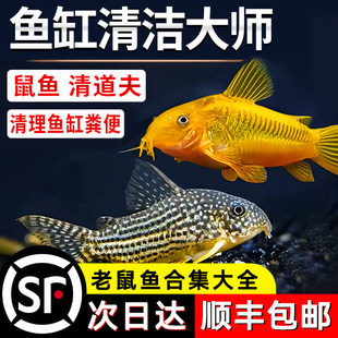 ��̦�������~�����Ꭷ�^�p�~�׻��w����ԼS�������坍�~�����~