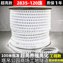 户外LED灯带2835超亮户外露营防水220V免驱动led灯条家装厂家批发
