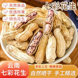 年货批发新货七彩花生500g袋装炒货云南特产七彩熟花生带壳零食