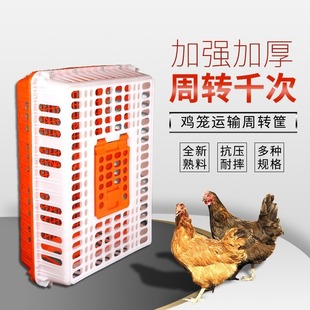Chicken cage turnover box household breeding thickened chicken cage poultry transport basket chicken basket wholesale plastic frame chicken cage plastic basket