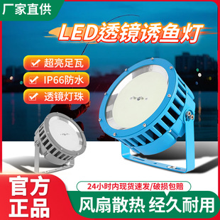 Outdoor Waterproof Marine Fish-Attracting Led Fish-Gathering Lamp 220V Sea Fishing Fishing Blue Light Night Fishing Special Lamp