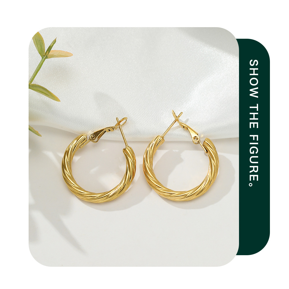 Fashion Circle Stainless Steel Plating Earrings 1 Pair