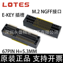 APCI0143-P001A LOTES/嘉泽 M.2 NGFF接口 E-KEY插槽67P 5.3H立贴